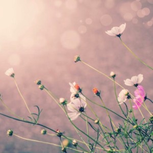 Untitled2